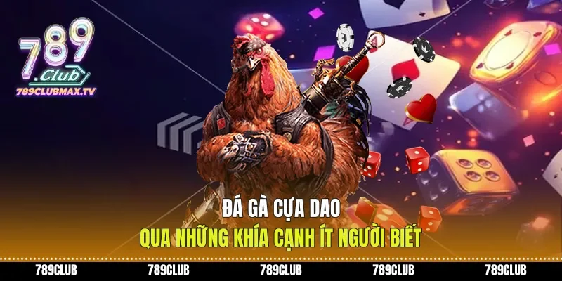 Đá Gà Cựa Dao Qua Những Khía Cạnh Ít Người Biết