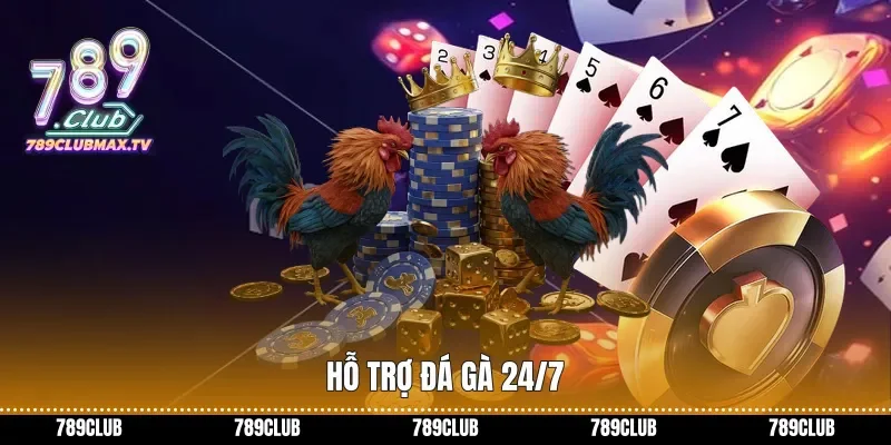 Hỗ trợ đá gà 24/7