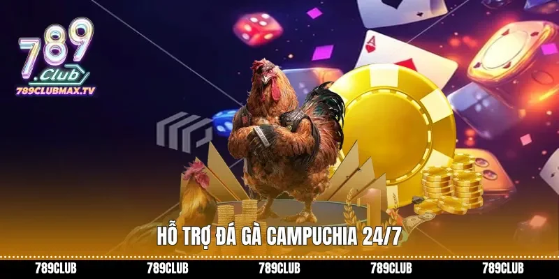 Hỗ trợ đá gà Campuchia 24/7