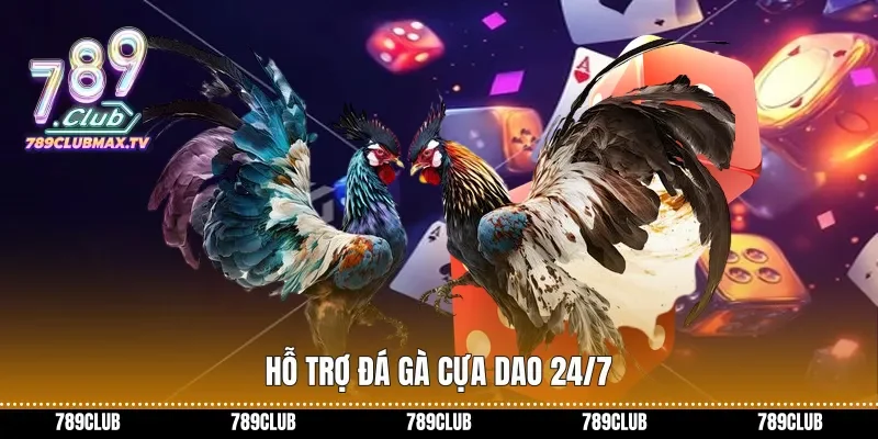 Hỗ trợ đá gà cựa dao 24/7
