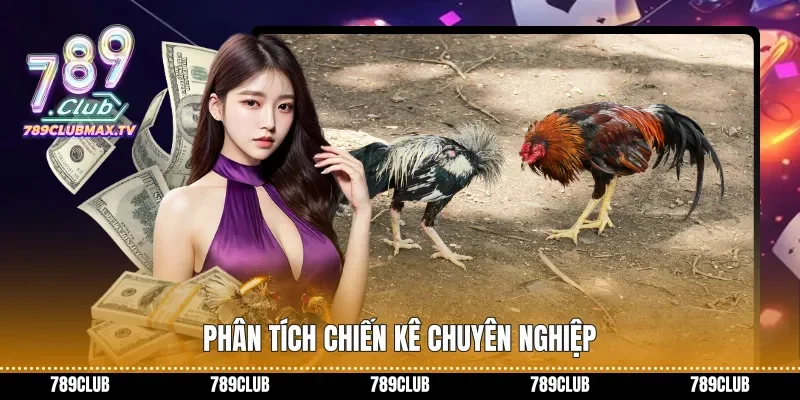 Phân tích chiến kê chuyên nghiệp