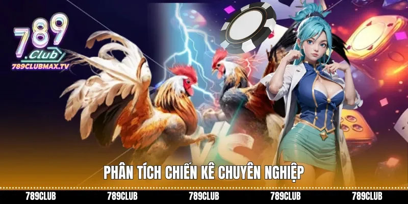 Phân tích chiến kê chuyên nghiệp
