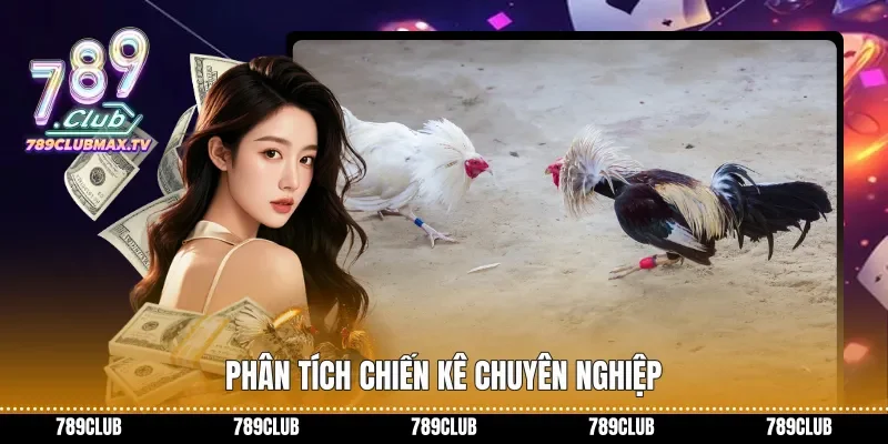 Phân tích chiến kê chuyên nghiệp