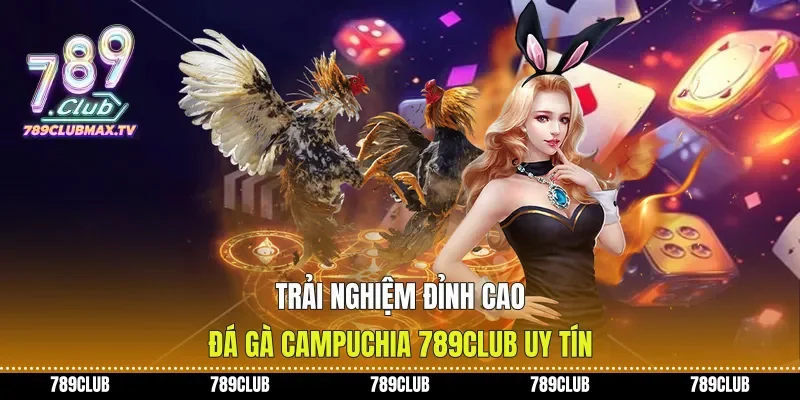 Trải Nghiệm Đỉnh Cao Đá Gà Campuchia 789club Uy Tín