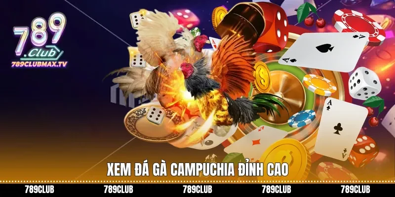 Xem đá gà Campuchia đỉnh cao