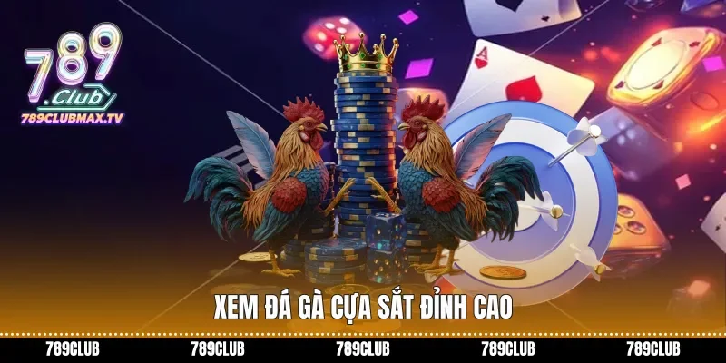 Xem đá gà cựa sắt đỉnh cao