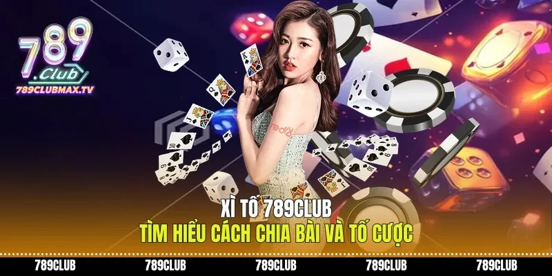 Xì Tố 789club Tìm Hiểu Cách Chia Bài Và Tố Cược
